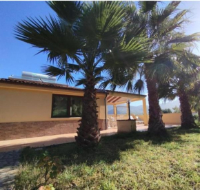 Casa delle palme